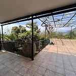Panorama *