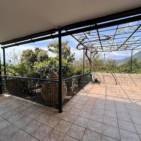 Panorama *