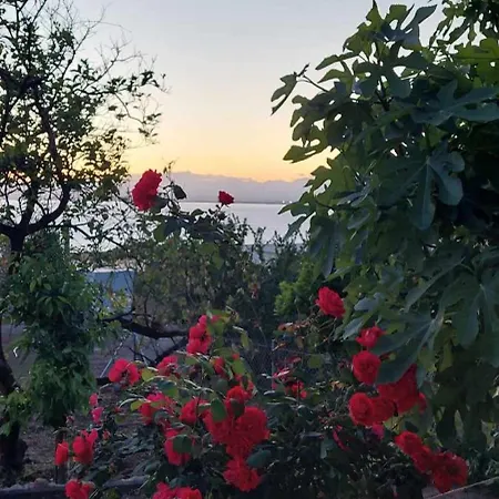 Panorama *